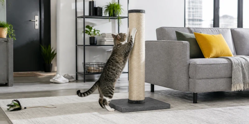 Cat using a tall scratching post in a modern apartment