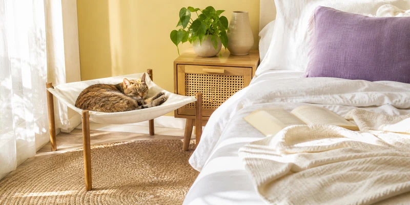 Elevated hammock cat bed in a bright yellow bedroom