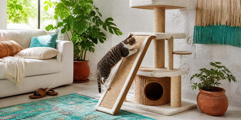 Sisal cat tree with a cat climbing the textured ramp in a bohemian living room
